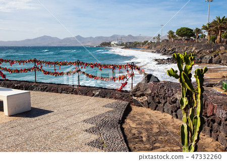 Puerto del Carmen, Lanzarote, Canary islands 47332260