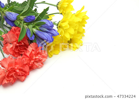 Chrysanthemum, carnation and bird's bouquet Chrysanthemum, carnation and bird's bouquet 47334224