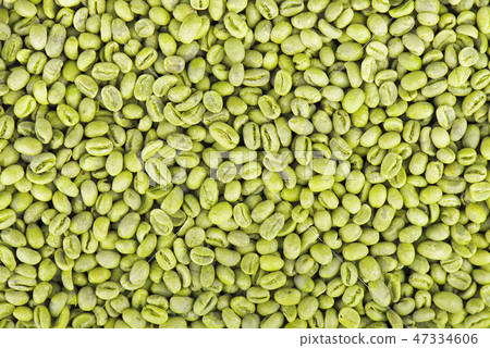 Green coffee beans background. Medium green peaberry coffee beans. Green coffee beans background. Medium green peaberry coffee beans. 47334606