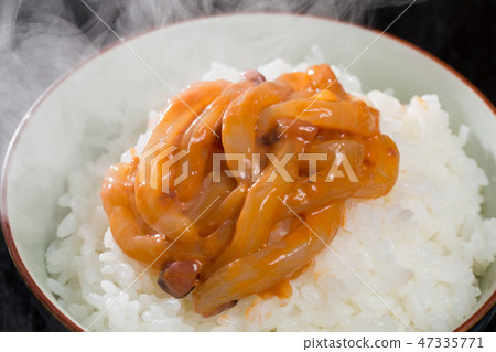 魷魚和鹽漬新鮮米飯 魷魚和鹽漬新鮮米飯 47335771