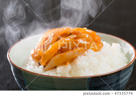 魷魚和鹽漬新鮮米飯 47335774
