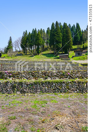Spring landscape in Hida Miyagawa cho Kozo district Spring landscape in Hida Miyagawa cho Kozo district 47335915