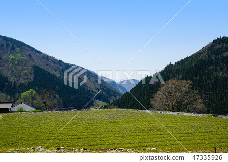 Spring landscape in Hida Miyagawa cho Kozo district Spring landscape in Hida Miyagawa cho Kozo district 47335926