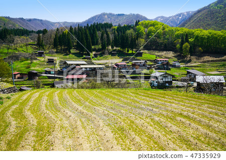 Spring landscape in Hida Miyagawa cho Kozo district Spring landscape in Hida Miyagawa cho Kozo district 47335929