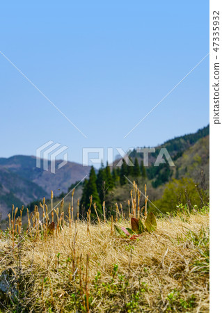 Spring landscape in Hida Miyagawa cho Kozo district Spring landscape in Hida Miyagawa cho Kozo district 47335932