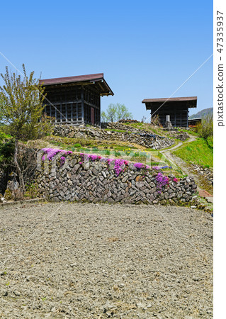 在Hida Miyagawa cho Kozo區的春天風景 47335937