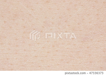 Skin cells on human 47336373