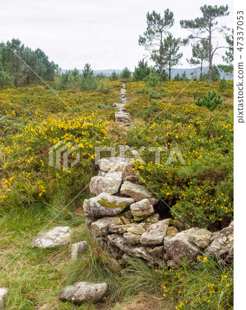 Dry-stone wall - San Pedro Martir 47337053