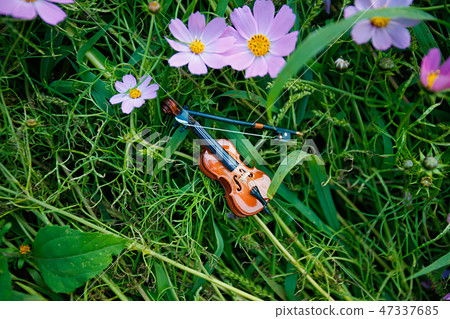 Autumn landscape, Cosmos flowers with various objects. 036 Autumn landscape, Cosmos flowers with various objects. 036 47337685
