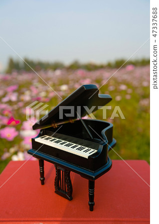 Autumn landscape, Cosmos flowers with various objects. 063 Autumn landscape, Cosmos flowers with various objects. 063 47337688