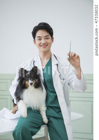 Pet and animal's health care concept veterinarian doctor with stethoscope checking up dog health at clinic. 031 Pet and animal's health care concept veterinarian doctor with stethoscope checking up dog health at clinic. 031 47338032