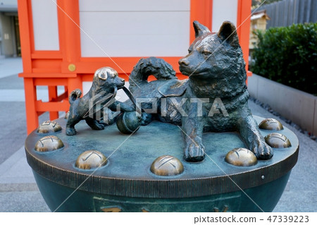 在水天宮神社內，一座母子犬的銅像迎接前來參拜的信眾。 47339223