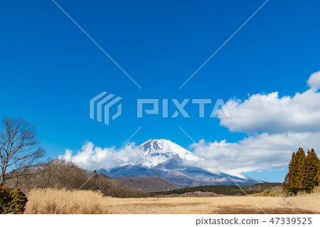 富士冬天靜岡縣Sus野市 47339525