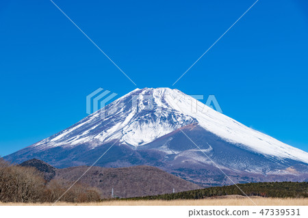 富士冬天靜岡縣Sus野市 47339531