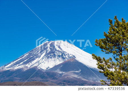 富士冬天靜岡縣Sus野市 47339536