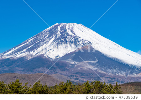 富士冬天靜岡縣Sus野市 47339539