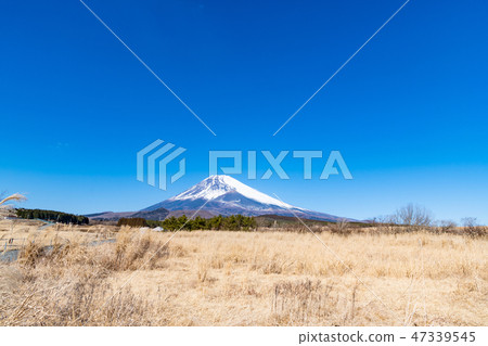 富士冬天靜岡縣Sus野市 47339545