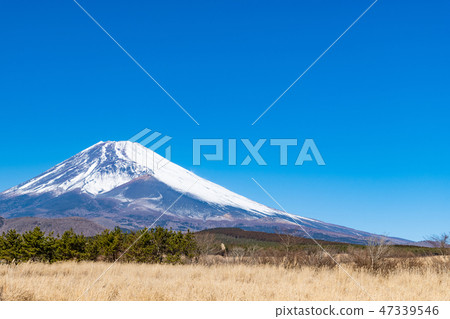 富士冬天靜岡縣Sus野市 47339546