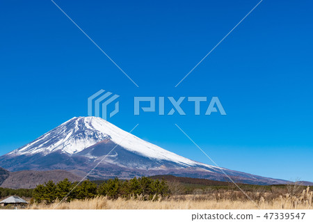 富士冬天靜岡縣Sus野市 47339547