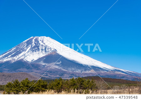 富士冬天靜岡縣Sus野市 富士冬天靜岡縣Sus野市 47339548