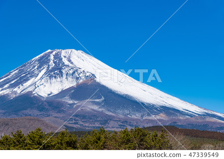 富士冬天靜岡縣Sus野市 富士冬天靜岡縣Sus野市 47339549