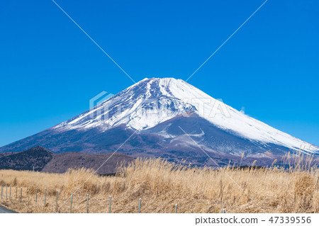 富士冬天靜岡縣Sus野市 47339556