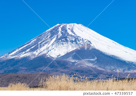 富士冬天靜岡縣Sus野市 47339557