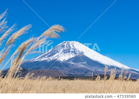 富士冬天靜岡縣Sus野市 富士冬天靜岡縣Sus野市 47339560