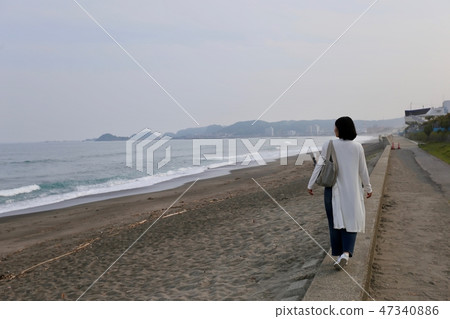 Shonan's Beach 47340886