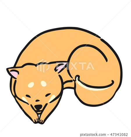 Shiba Inu dog pose facial expression 47341082