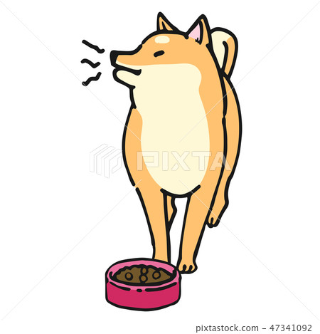 Shiba Inu狗姿勢表情威脅 47341092