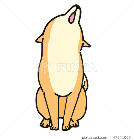 Shiba Inu Dog Pose Expression Howling Stock Illustration