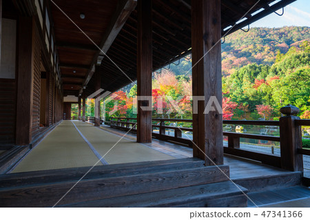 Kyoto Tenryu-ji Temple Hakatajo and Sao Gen Pond Garden (Sengenjien) Autumn leaves 47341366