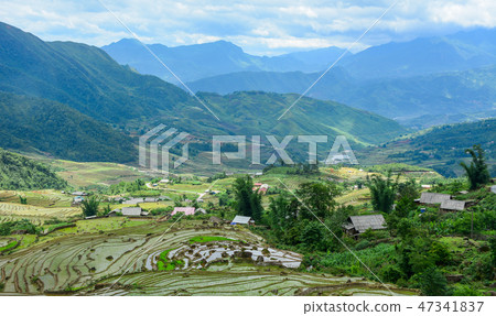 Terraced rice fields on rain season in Vietnam Terraced rice fields on rain season in Vietnam 47341837