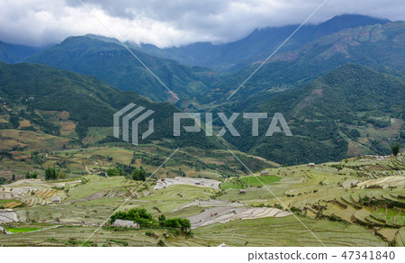 Terraced rice fields on rain season in Vietnam 47341840