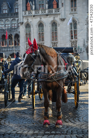 Horse cart in beautiful Bruges town, Belgium Horse cart in beautiful Bruges town, Belgium 47342030