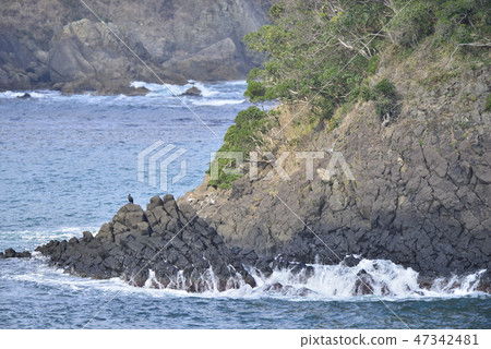 [兵庫縣霞海岸]海見站在沙灘上 47342481