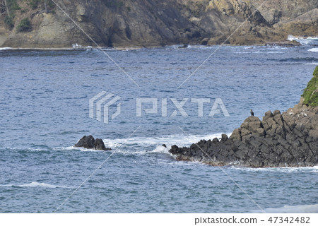 [兵庫縣霞海岸]海見站在沙灘上 47342482