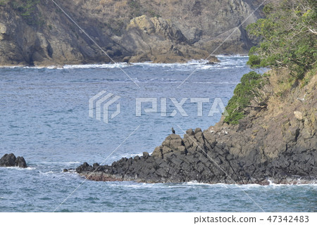 [兵庫縣霞海岸]海見站在沙灘上 47342483