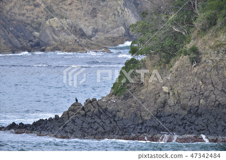 [兵庫縣霞海岸]海見站在沙灘上 47342484
