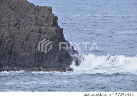 [Hyogo Prefecture Kasumi Coast] Araiso 47342486