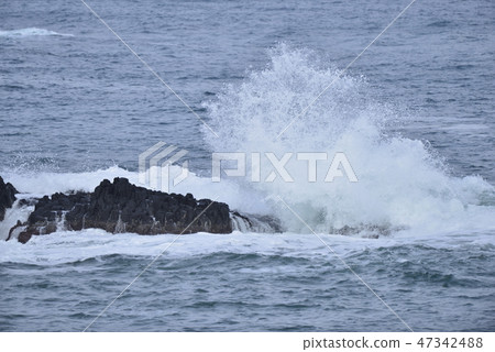 [Hyogo Prefecture Kasumi Coast] Araiso 47342488