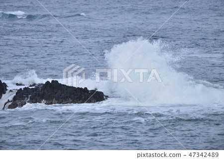 [Hyogo Prefecture Kasumi Coast] Araiso 47342489