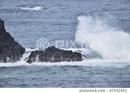 [Hyogo Prefecture Kasumi Coast] Araiso 47342491