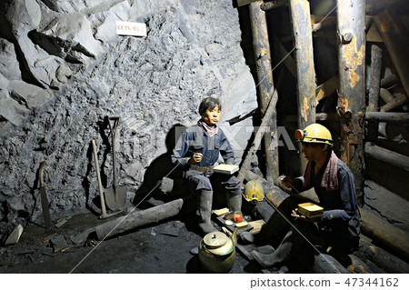 Fossil, museum, exhibition hall, coal museum Fossil, museum, exhibition hall, coal museum 47344162