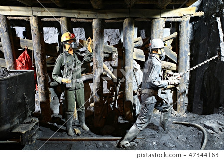 Fossil, museum, exhibition hall, coal museum Fossil, museum, exhibition hall, coal museum 47344163