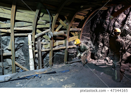Fossil, museum, exhibition hall, coal museum Fossil, museum, exhibition hall, coal museum 47344165