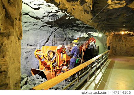 Fossil, museum, exhibition hall, coal museum Fossil, museum, exhibition hall, coal museum 47344166