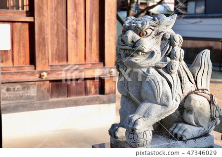 Legendary dog 002 47346029