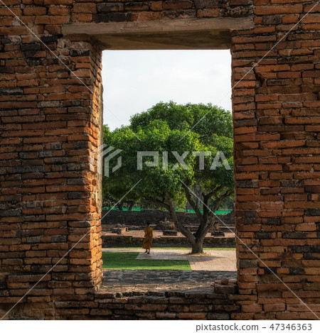 buddhist monk by the tree buddhist monk by the tree 47346363